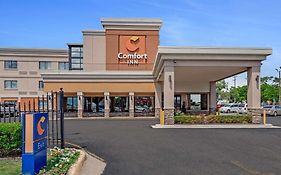 Comfort Inn Downtown